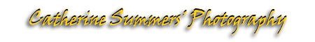 Catherine Summers' Photography