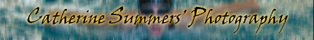 Catherine Summers' Photography Logo