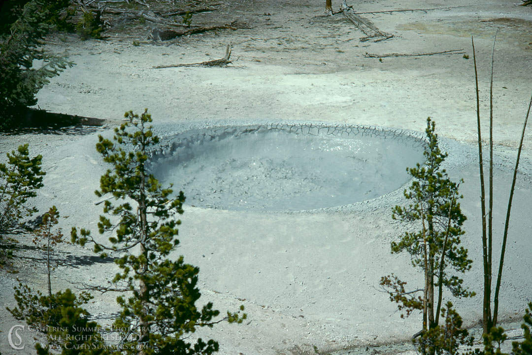 Mud Pot Thermal Basin near the Firehole River: Yellowstone National Park