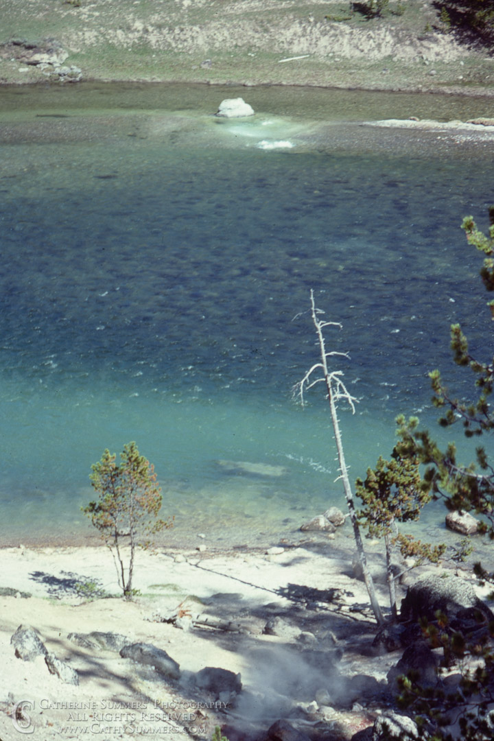 Hot Springs IN the Firehole River: Yellowstone National Park