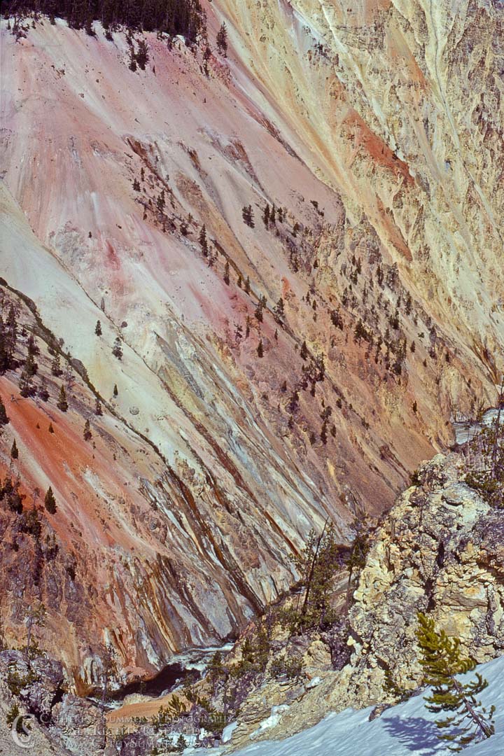 Oxide Streaks in the Yellowstone Canyon Walls: Yellowstone National Park