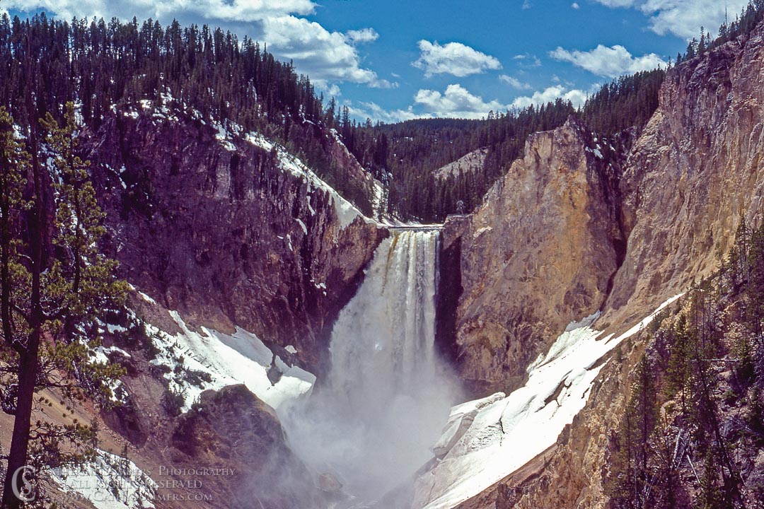 Lower Falls of the Yellowstone River: Yellowstone National Park