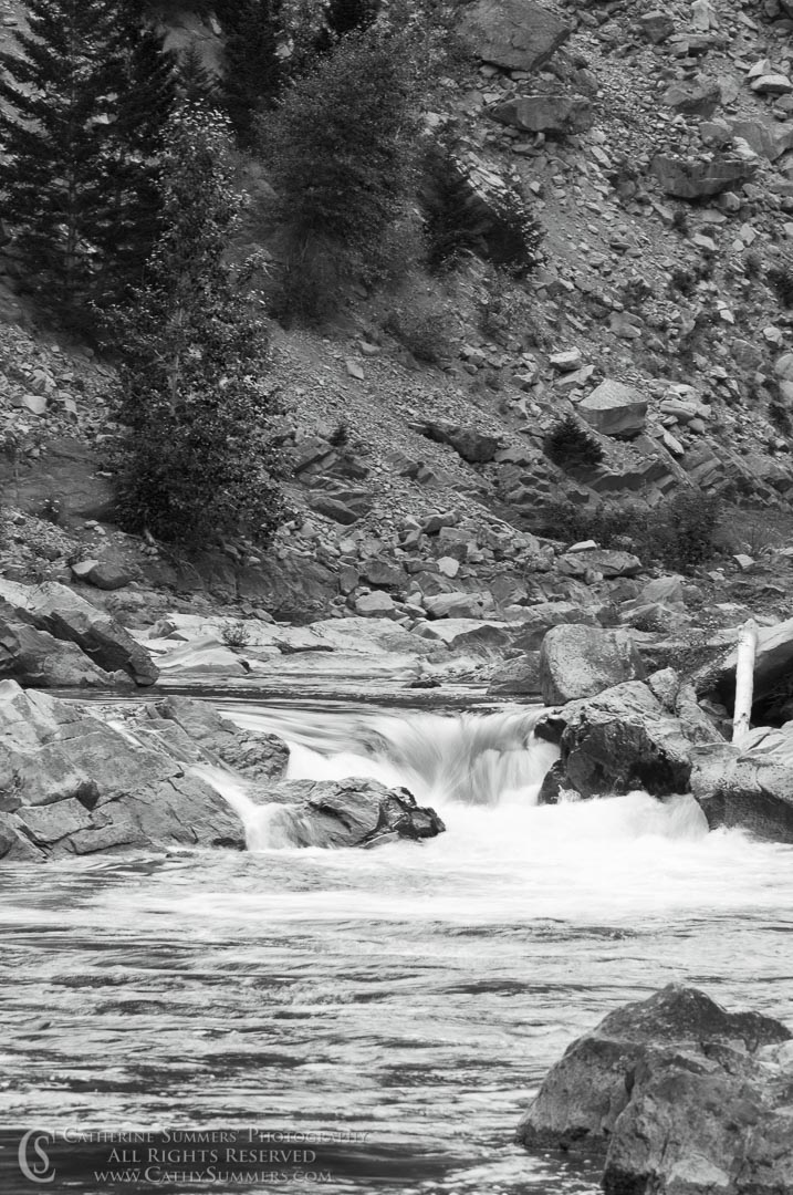 20090802_051_BW: vertical, Montana, Bob Marshall Wilderness, K Bar L, Sun River, North Fork, black and white