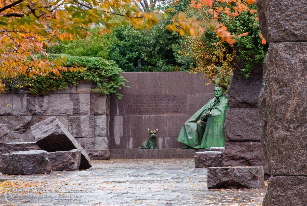 Autumn Rain at FDR Memorial #1: Washington, DC