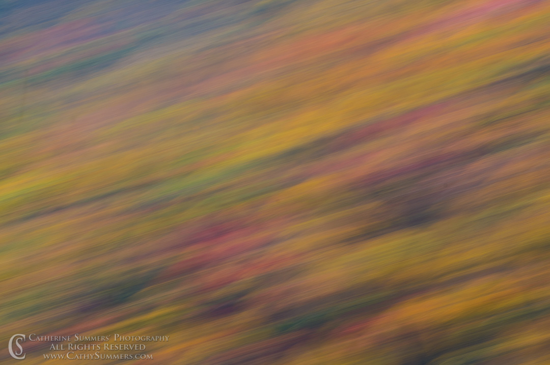 Fall Colors - Panning Blur #3: Shenandoah National Park, Virginia
