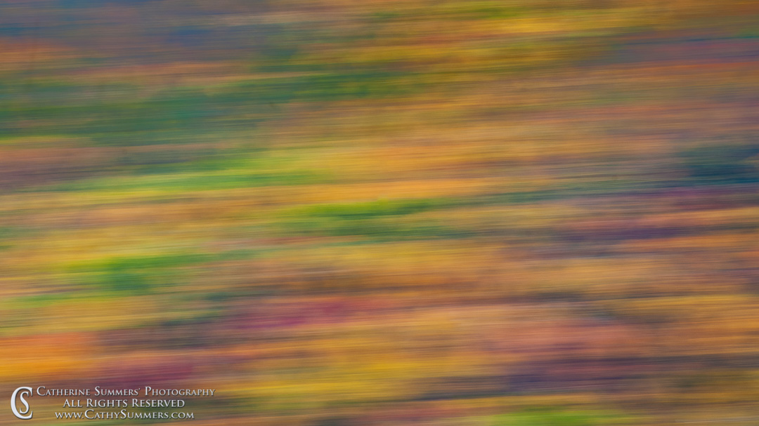 Fall Colors in Shenandoah National Park - Panning Blur
