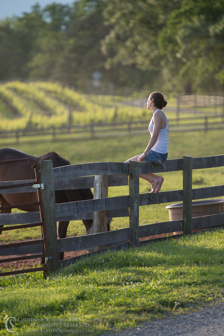 Elena on the fence with horses grazing and the vineyard glowing on a late spring afternoon: Albemarle County, Virginia