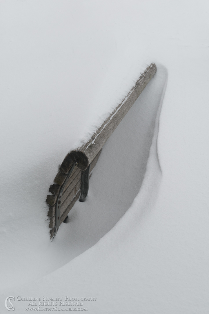 Snow Covered Bench: Falls Church, Virginia