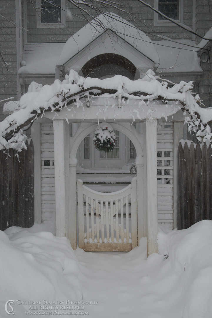 A Snowy Path: Falls Church, Virginia