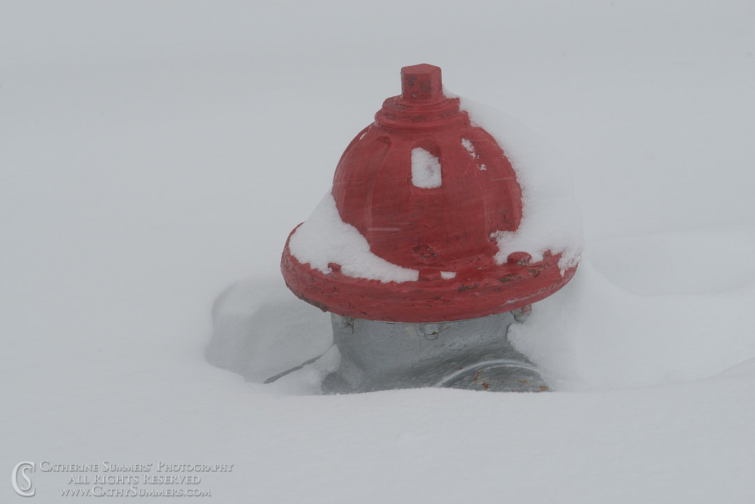 Snow Covered Fire hydrant: Falls Church, Virginia