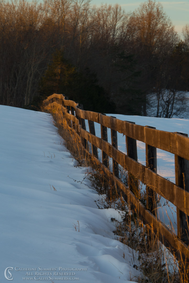 Snow and Fence at First Light: Madison, Virginia