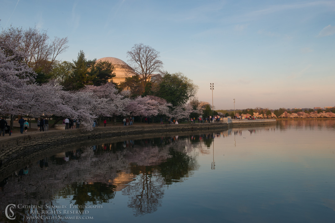 Cherry Blossoms and Jefferson Memorial at Sunrise with Reflection in the Tidal Basin: Washington, DC