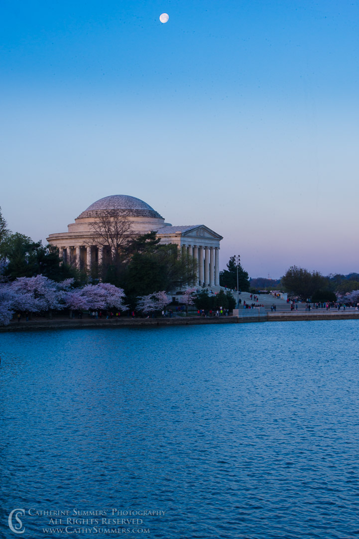 Full Moon, Cherry Trees and Jefferson Memorial Before Dawn with Reflection in Tidal Basin:  Washington, DC