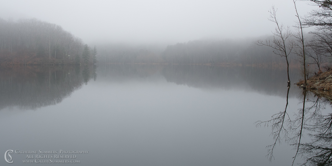 Fog and Trees Reflected in Sugar Hollow: Albemarle County, Virginia