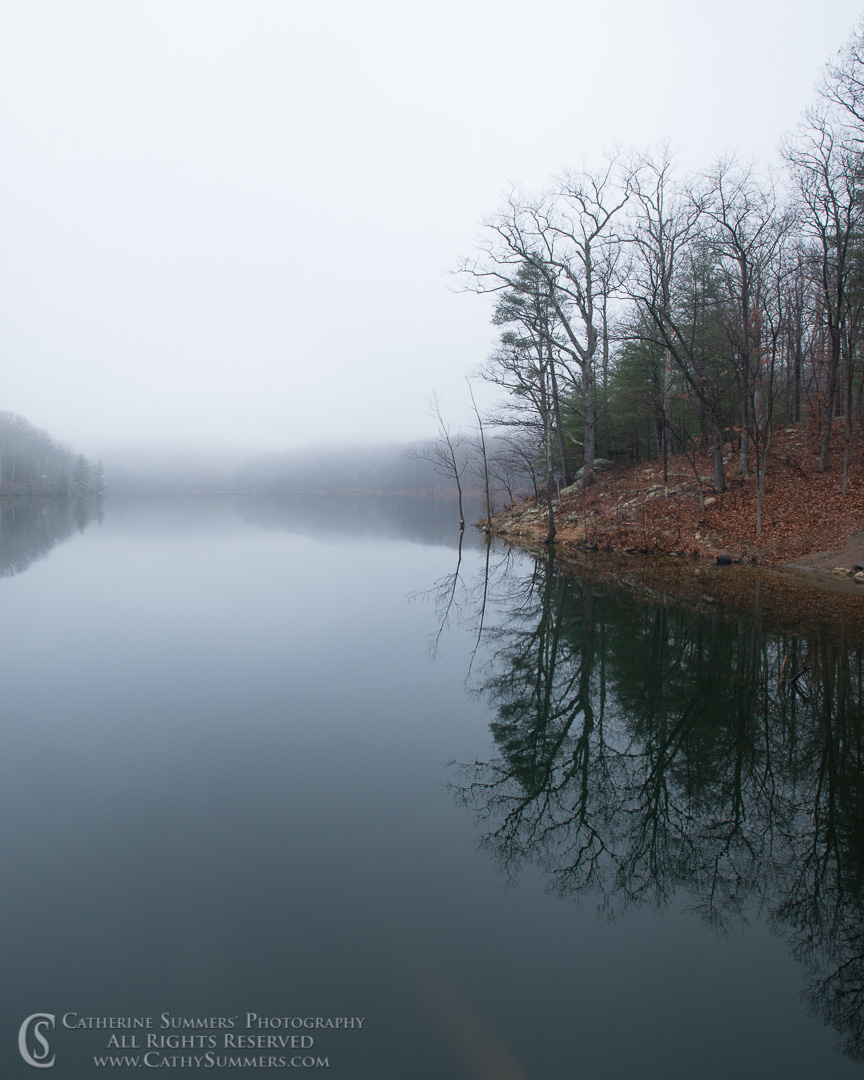Reflections / Trees and Sleepy Hollow Reservoir in the Fog: Albemarle County, Virginia