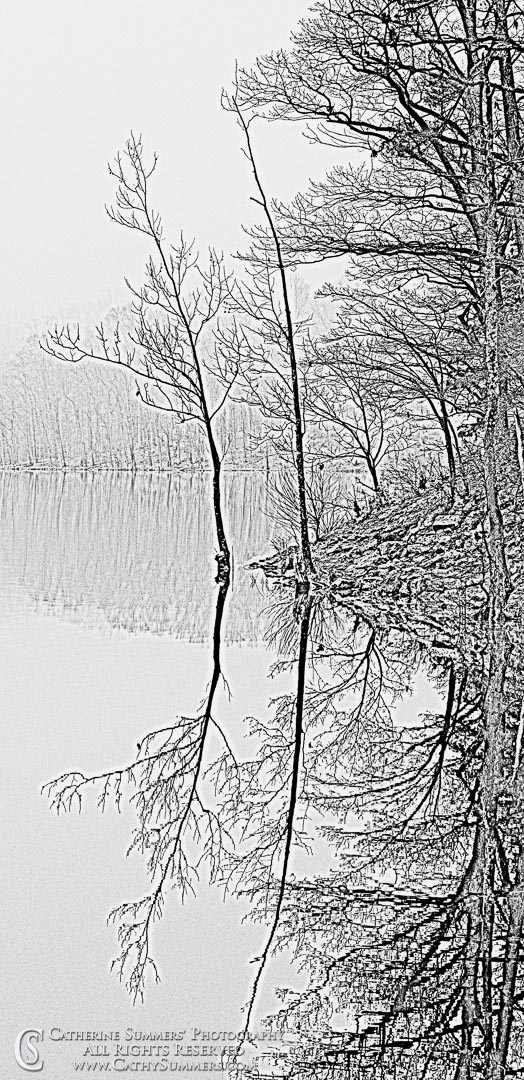 Reflections / Sleepy Hollow Resevior in the Fog- Pencil Effect