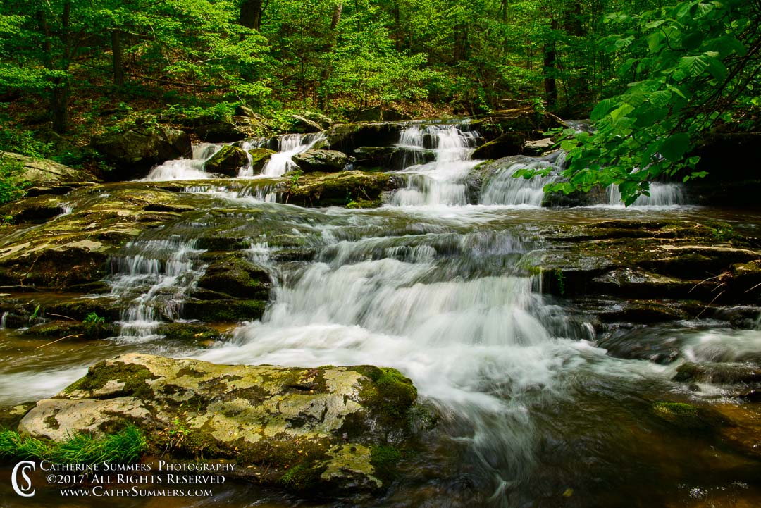 Water Flows over a Series of Ledges - South Fork of Moormans River: Shenandoah National Park, Virginia