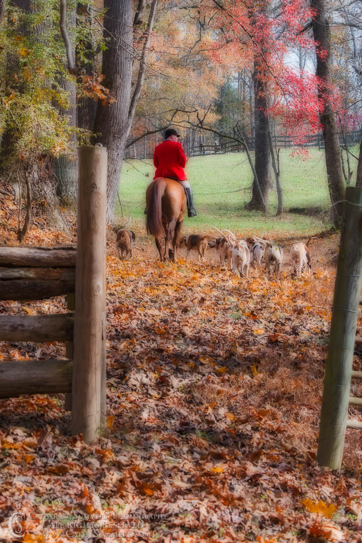 Huntsman and Hounds - Orton Effect