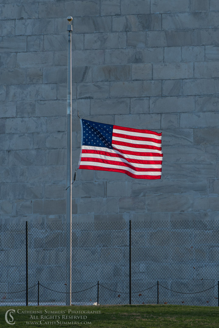 Flags and the Washinton Monument: Washington, DC