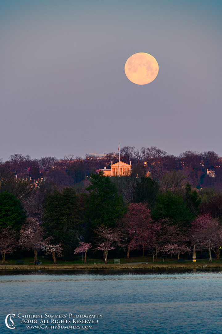 Moon Set at Dawn over Arlington National Cemetery: Washington, DC