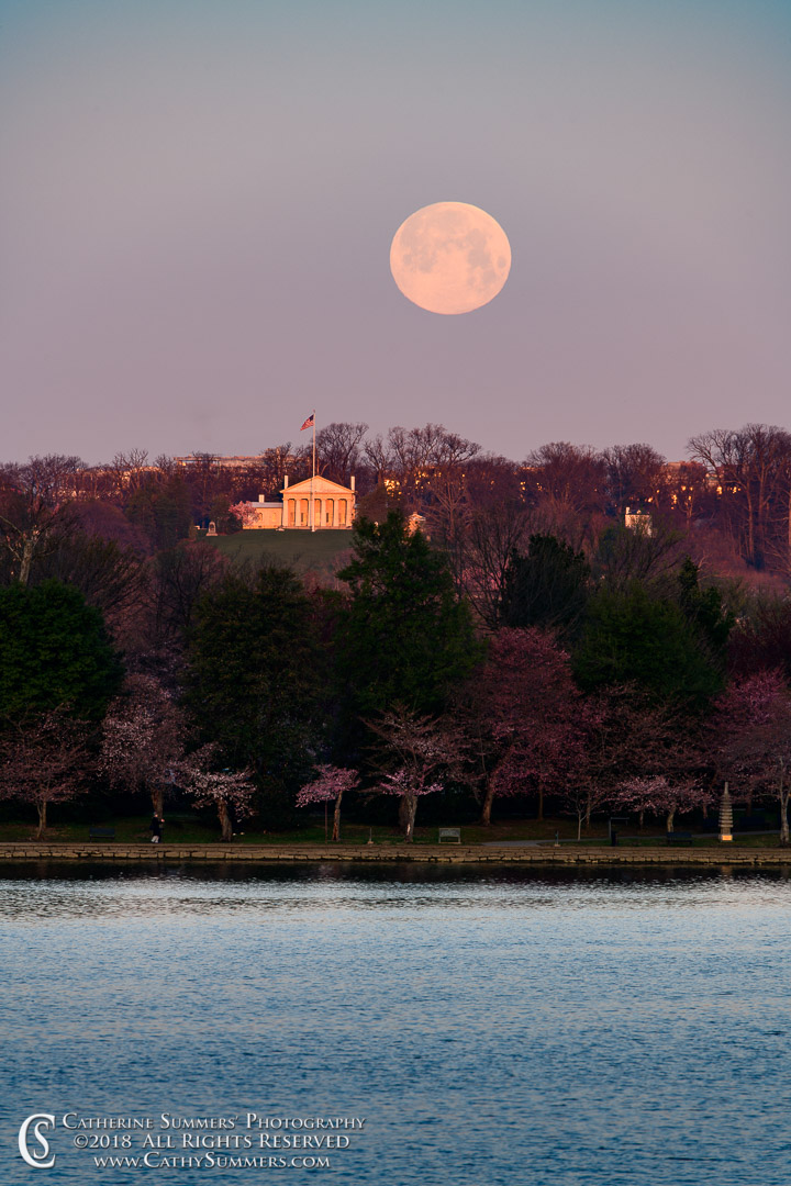 Moon Set at Dawn over Arlington National Cemetery: Washington, DC