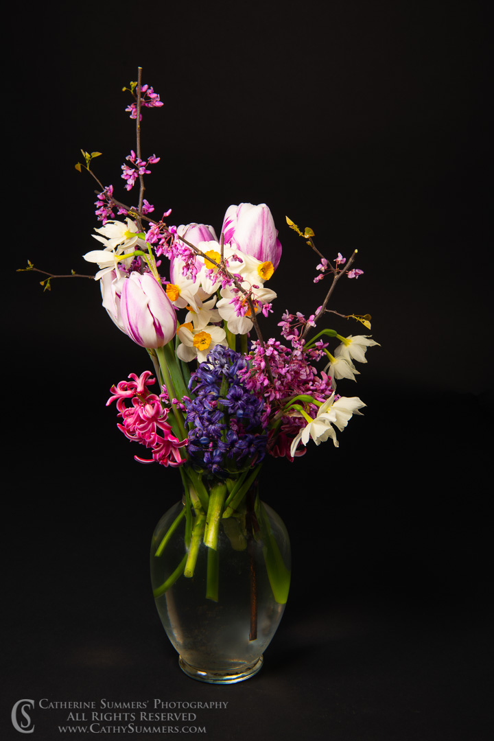 Spring Flowers in a Vase on Black Background: Virginia