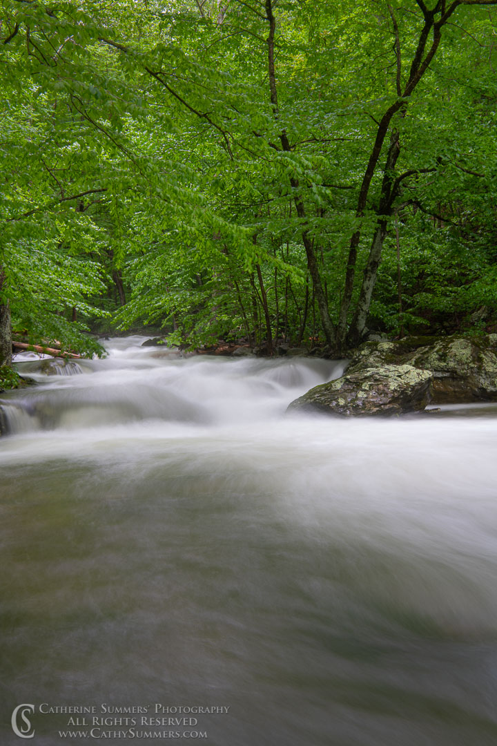 Long Exposure to Blur the Water - Rose River: Shenandoah National Park, Virginia