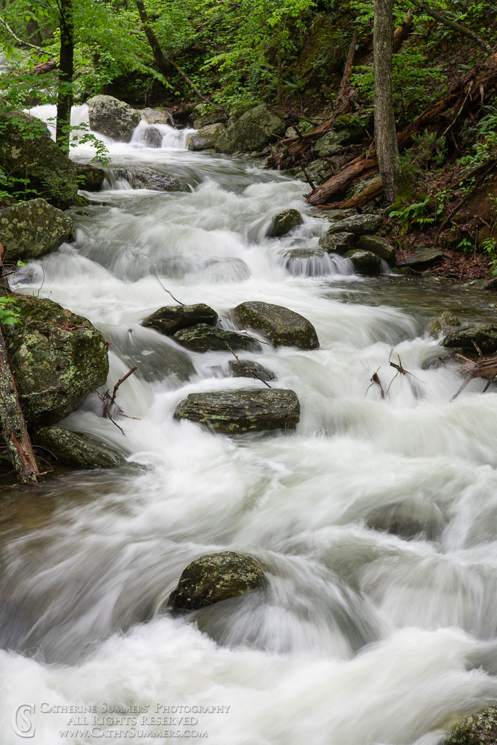Long Exposure to Blur the Water - Rose River - 1/5 Seconds with no Filter: Shenandoah National Park, Virginia