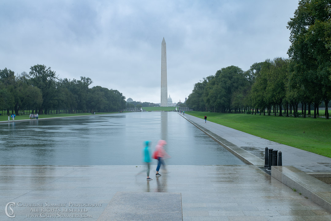 Washington Monument and Reflection in the Rain: Washington, DC