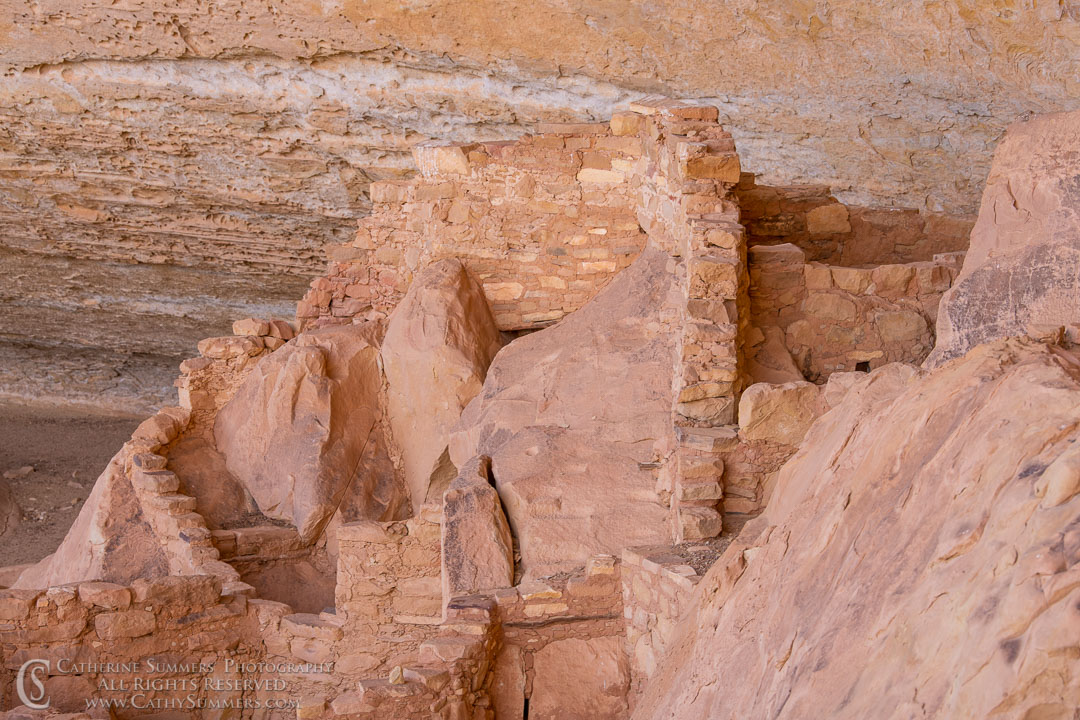 Step House Cliff Dwelling: Mesa Verde National Park
