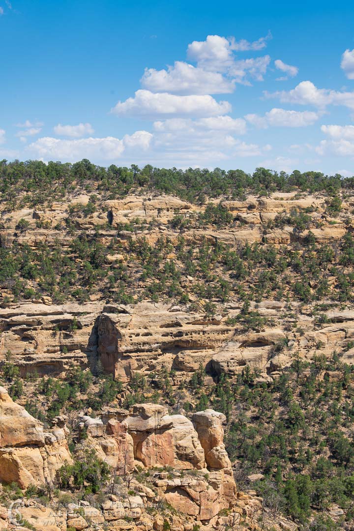 View of Wetherill Mesa from Step House: Mesa Verde National Park