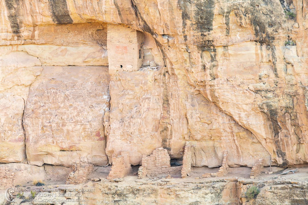 20180918_088: horizontal, Mesa Verde National Park, Mummy House, landscape