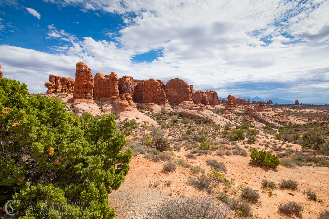 Fiery Furnace: Arches National Park