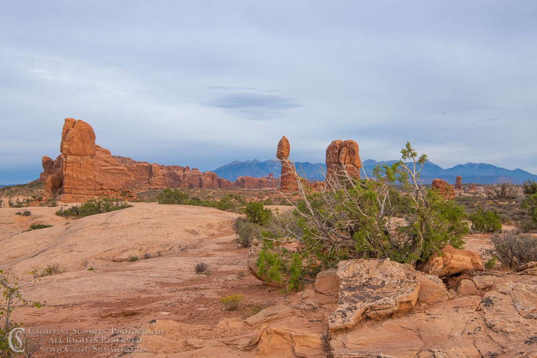 Balanced Rock and La Sal Mountains: Arches National Park