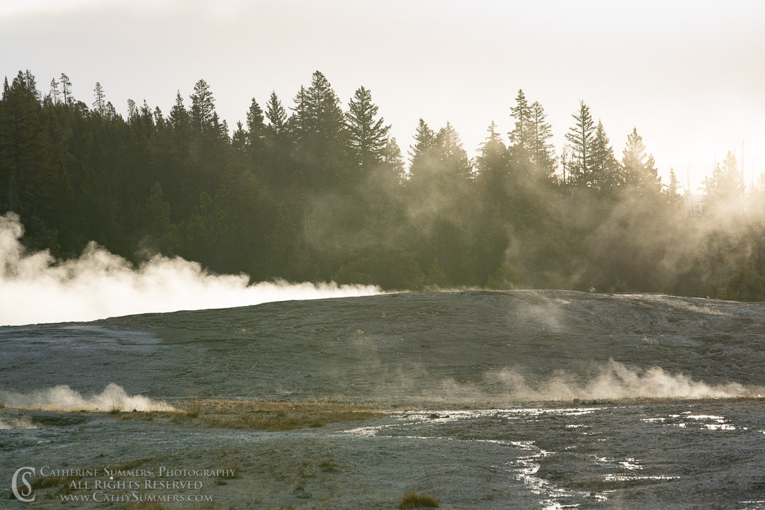 Steaming Gyser in the Upper Gyser Basin: Yellowstone National Park