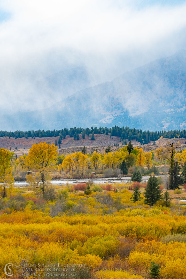 Stom Clearing Over the Snake River with Golden Aspens, Cottonwoods and Willows: Grand Teton National Park