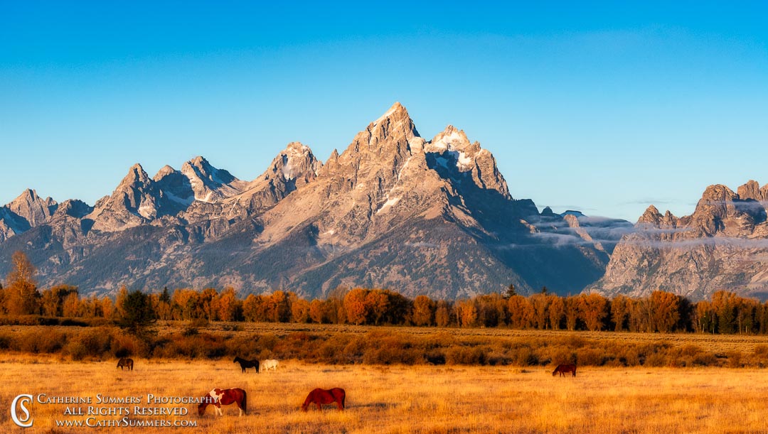 Horses in Pasture with the Tetons on an Early Autumn Morning: Grand Teton National Park - Orton Effect