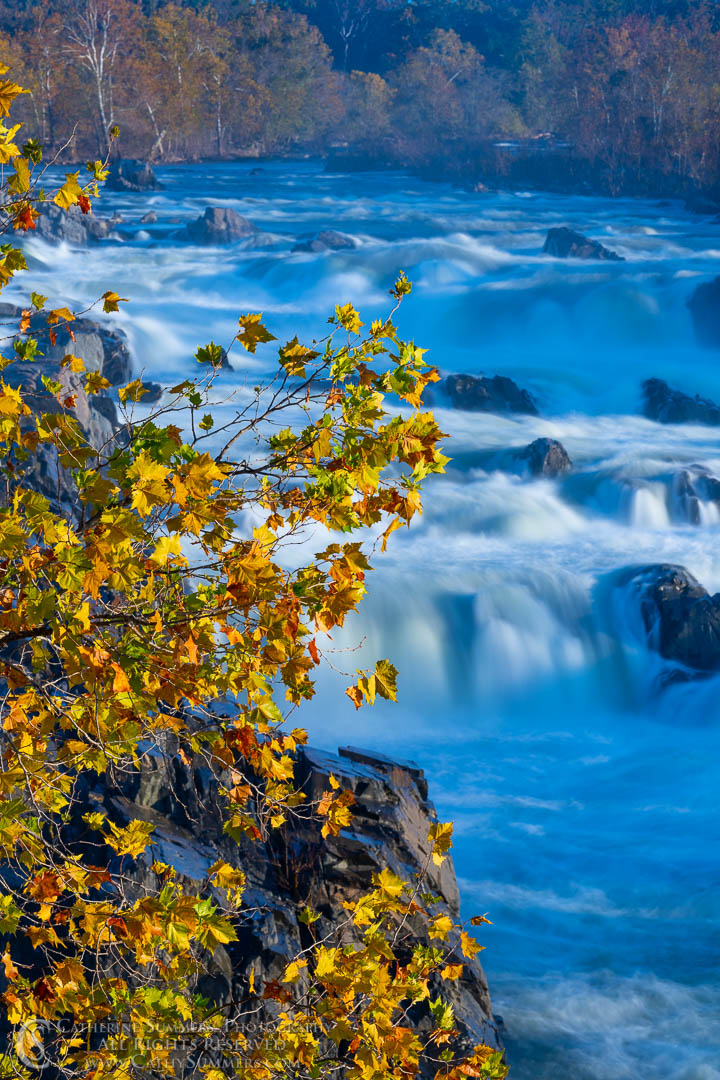 Golden Leaves and a Long Exposure at Sunrise on Great Falls of the Potomac on an Autumn Morning: Great Falls National Park, Virginia