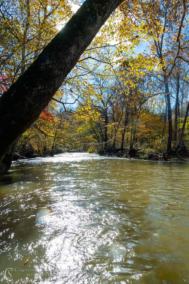 Fall Colors Along the Buffalo River: Albemarle County, Virginia