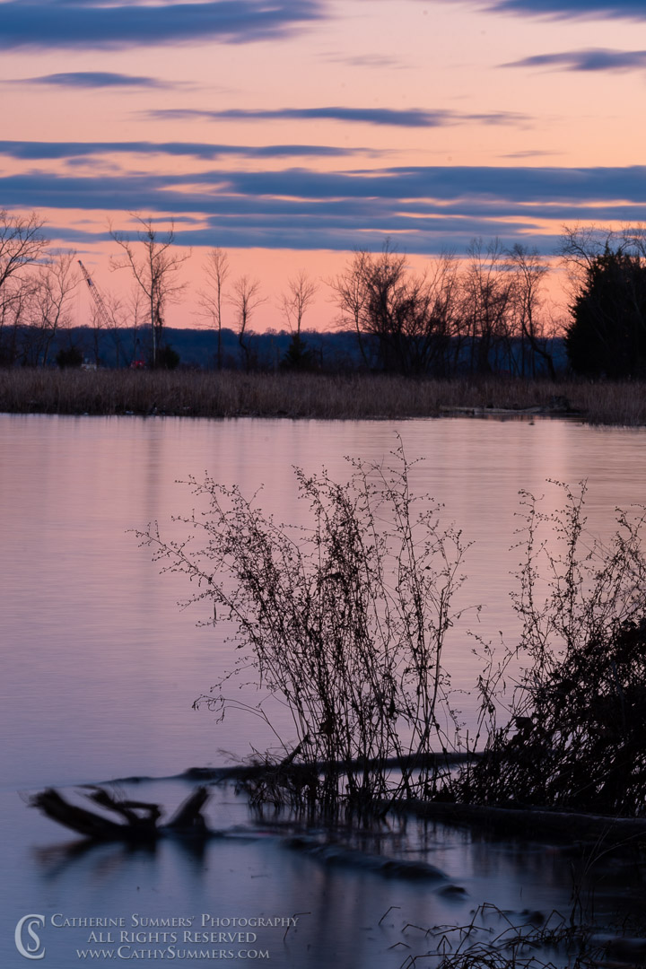 Sunset Reflections on the Potomac River at Dyke Marsh
