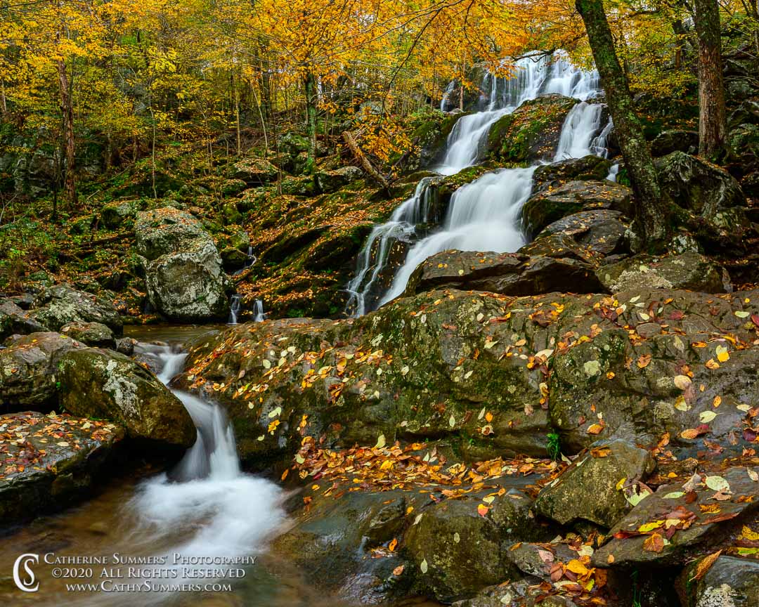 20201013_096: horizontal, waterfall, autumn, leaves, Shenandoah National Park, Rose River, Blue Ridge Mountains, golden, Dark Hollow Falls