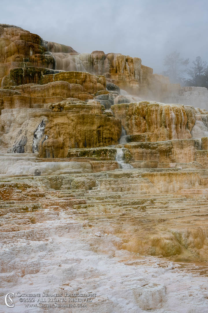 20220608_047: vertical, Yellowstone National Park, Mammoth Hot Springs, hot spring, tavertine, hot springs, Palette Spring, terrace
