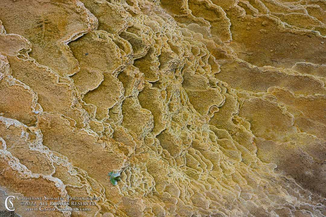 Colors and Patterns - Mammoth Hot Springs, Yellowstone National Park