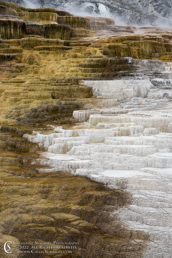Patterns in the Tavertine Terraces of Minerva Spring - Yellowstone National Park