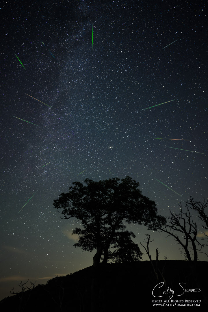 Perseid Meteor Shower at Jewel Hollow Overlook - Composite Photo