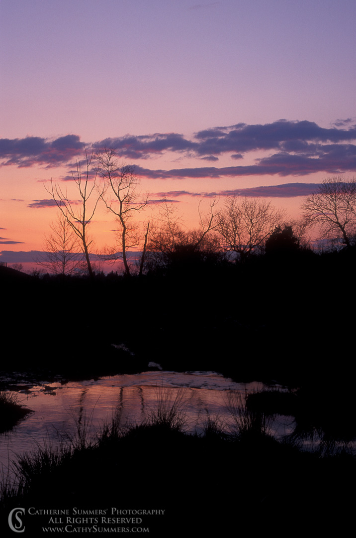 Winter Sunset and Reflection: Fairfax County, Virginia