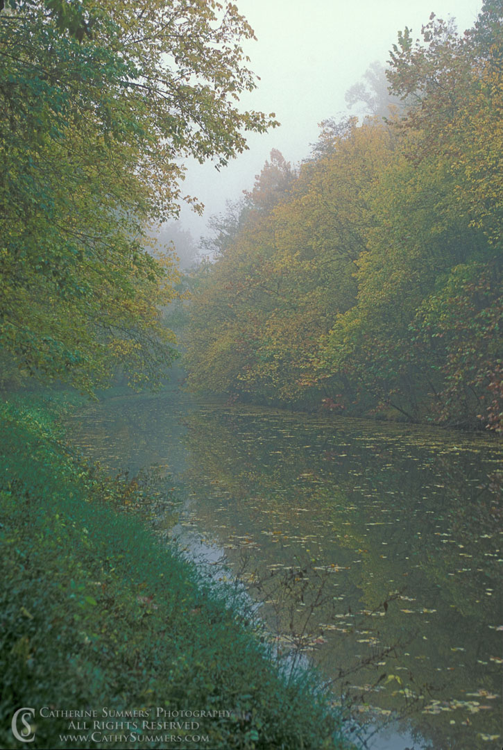 Autumn Morning on the C&O Canal: C&O Canal National Historic Park, Maryland