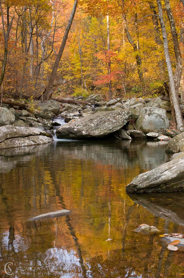 White Oak Canyon Reflection #2: Shenandoah National Park, Virginia