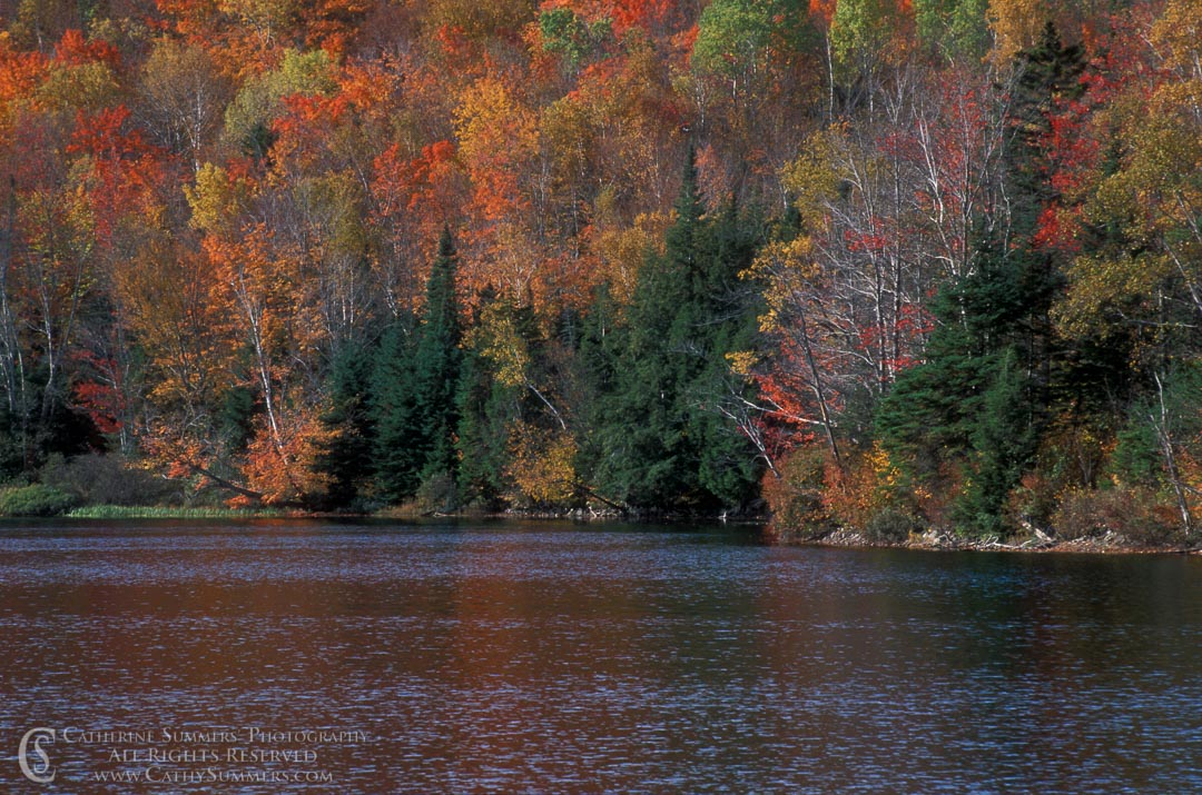Autumn Colors by a Lake #2: White Mountains, New Hampshire