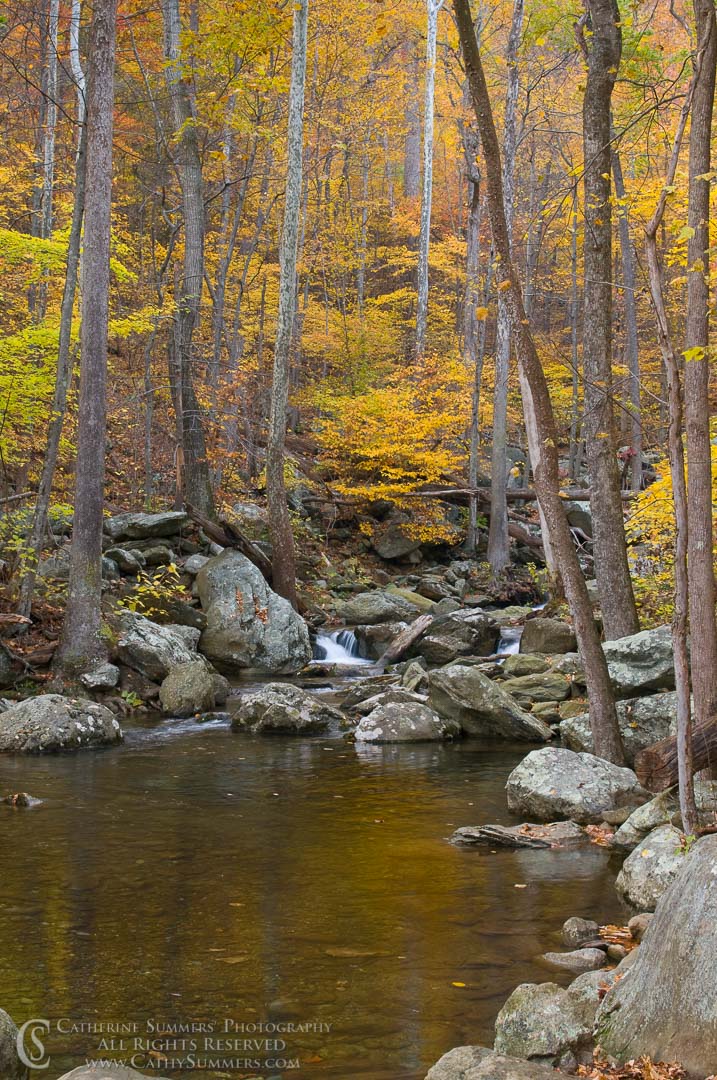 White Oak Canyon, Autumn Afternoon #3: Shenandoah National Park, Virginia